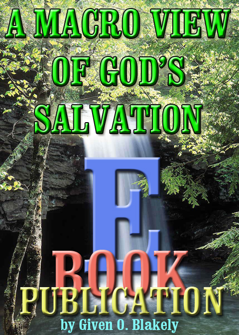 E Book-Cover-MacroGodsSalvation